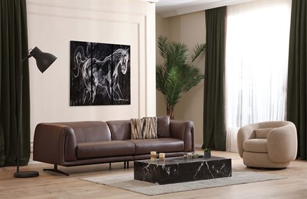 Dalibor Koltuk Takımı