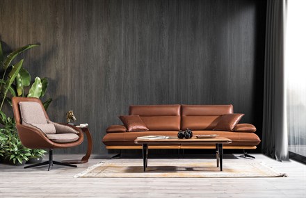 Frida Koltuk Takımı