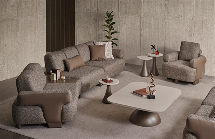 Molen Koltuk Takımı