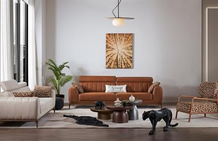 Rozina Koltuk Takımı