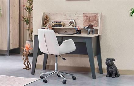 Sorin Genç Odası Takımı