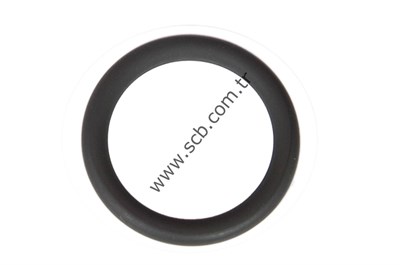 BOSCH 11 DE (orginal) O RİNG