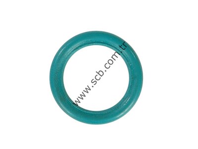 BOSCH 2-24  ve 2-26 O RİNG