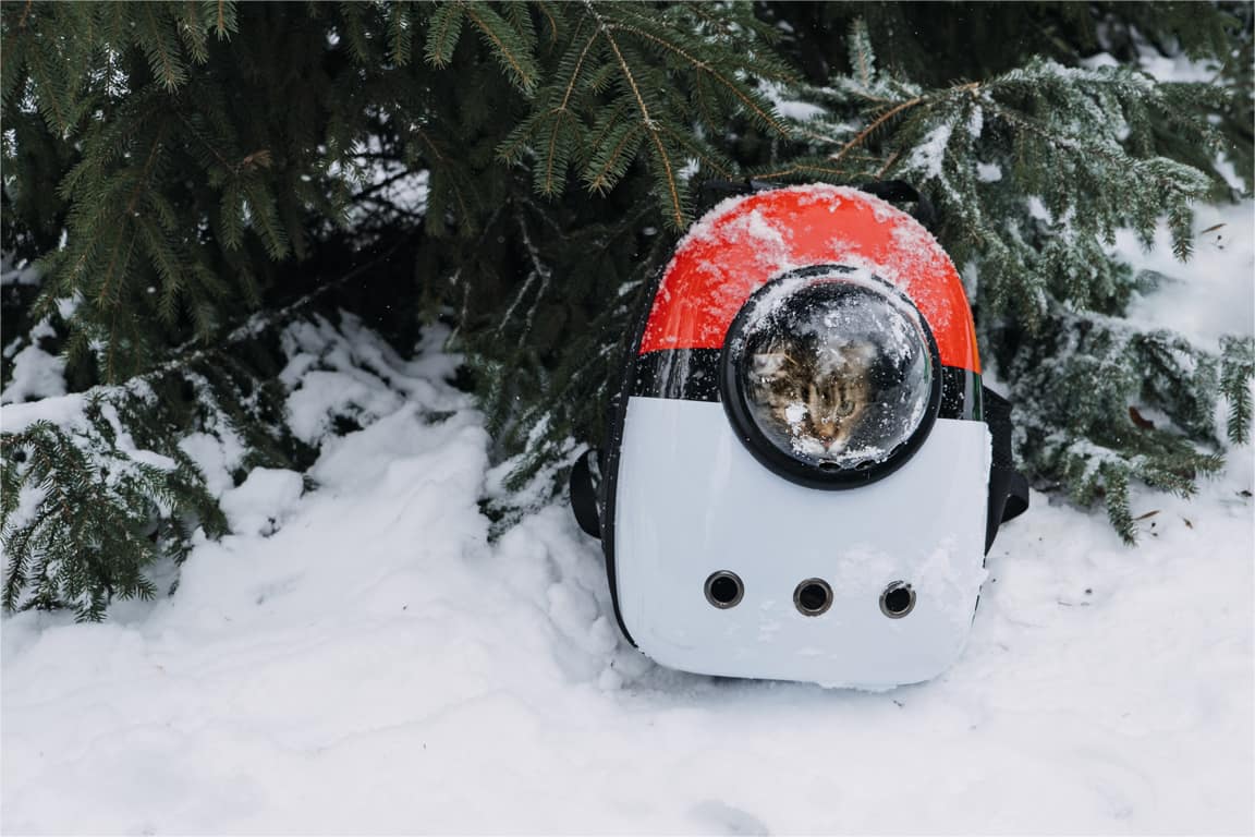 Astronot Kedi Çantası ile Dostlarınız Yanınızdan Ayrılmasın