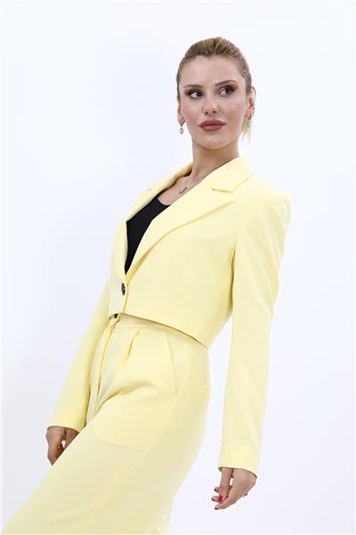 Erkek Yaka Tek Düğmeli Kısa Ceket-Sarı