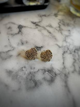 Zirkon Taşlı Kalp Çelik Küpe 