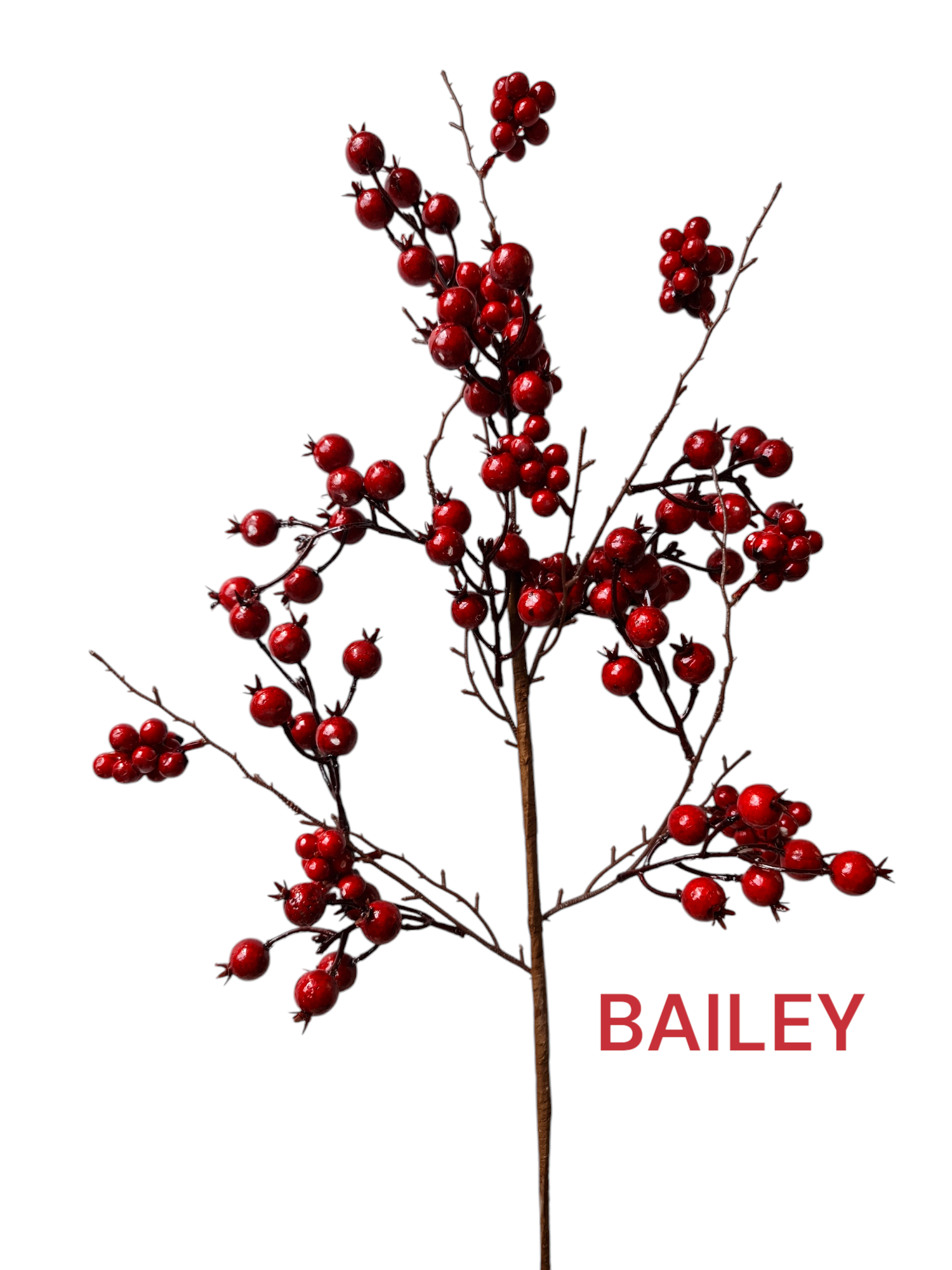 berry dal 70 cm