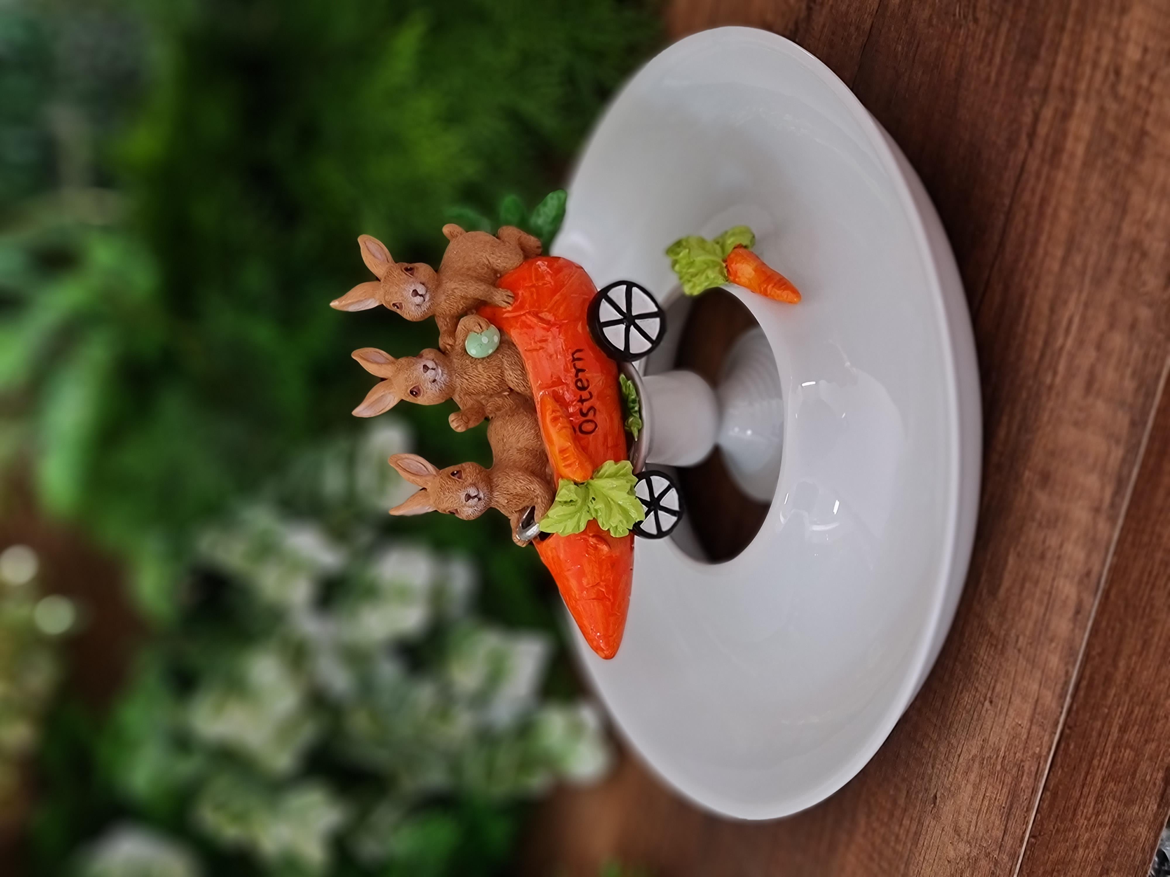 Carrot car decorlu tabak 