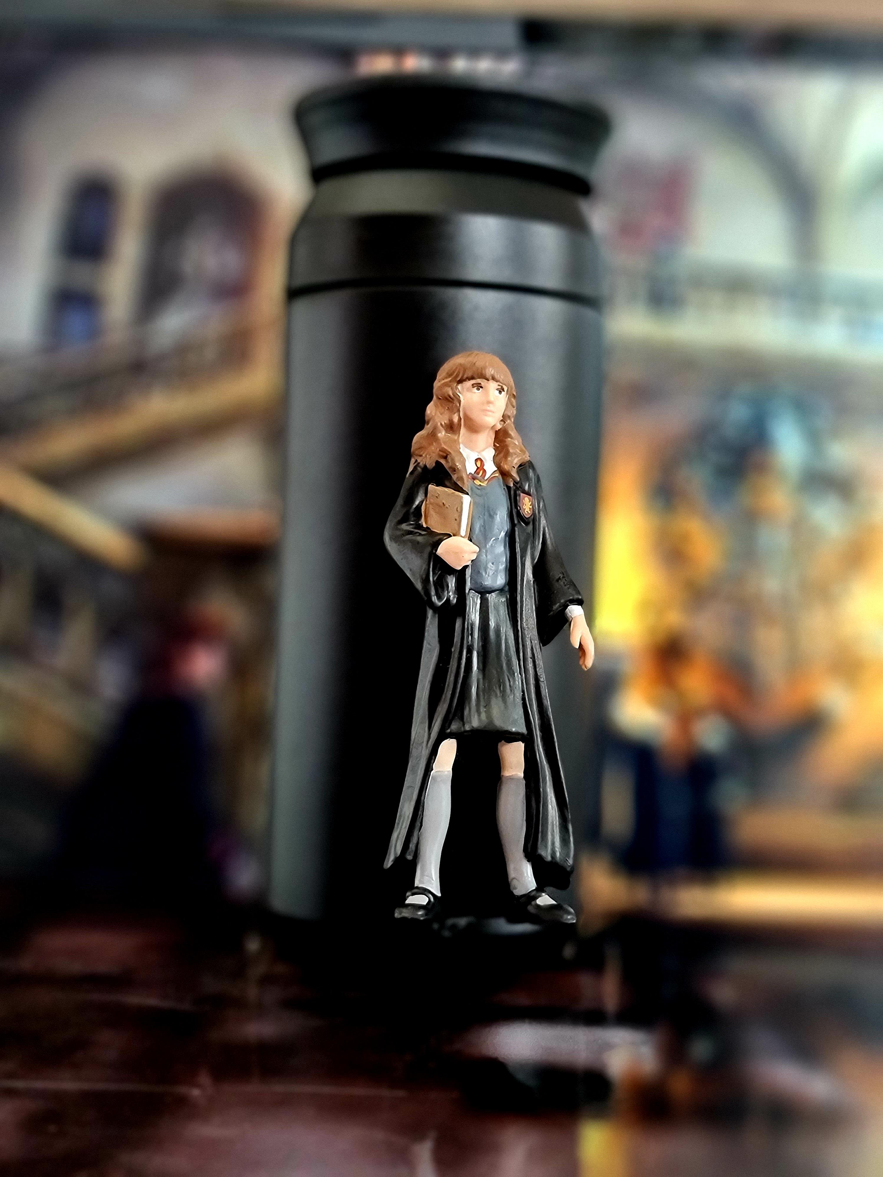 Hogwarts Harmonie termos 350 ml