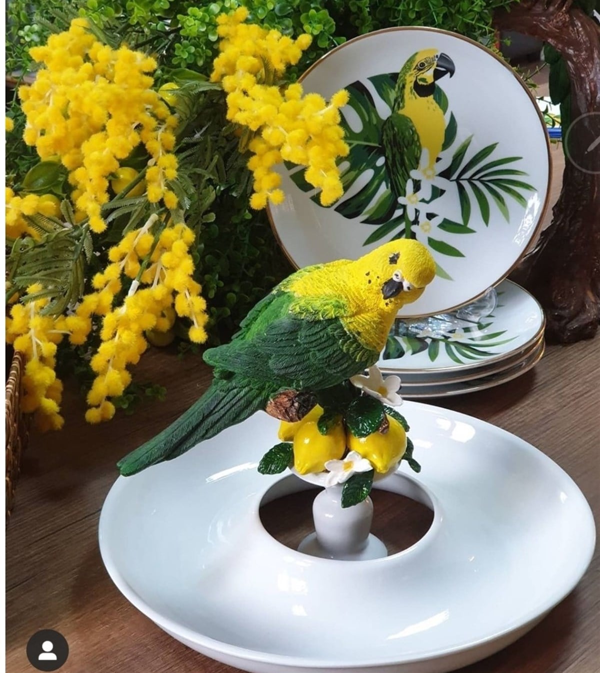 PAPAĞAN DECORLU TABAK
