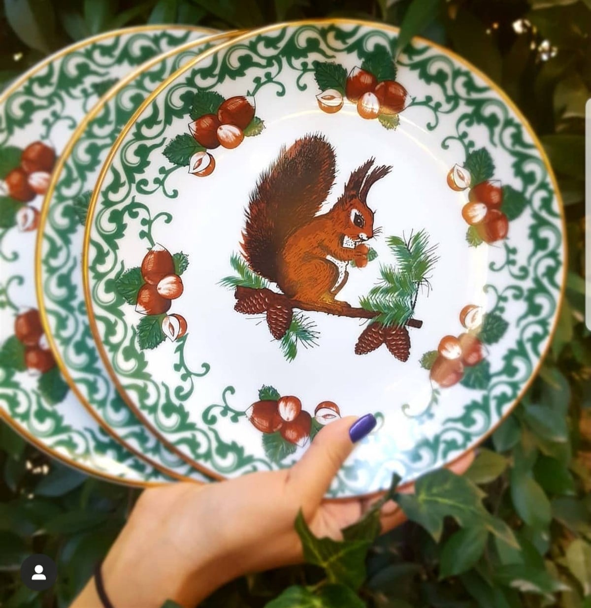 squirrel tabak 23 cm