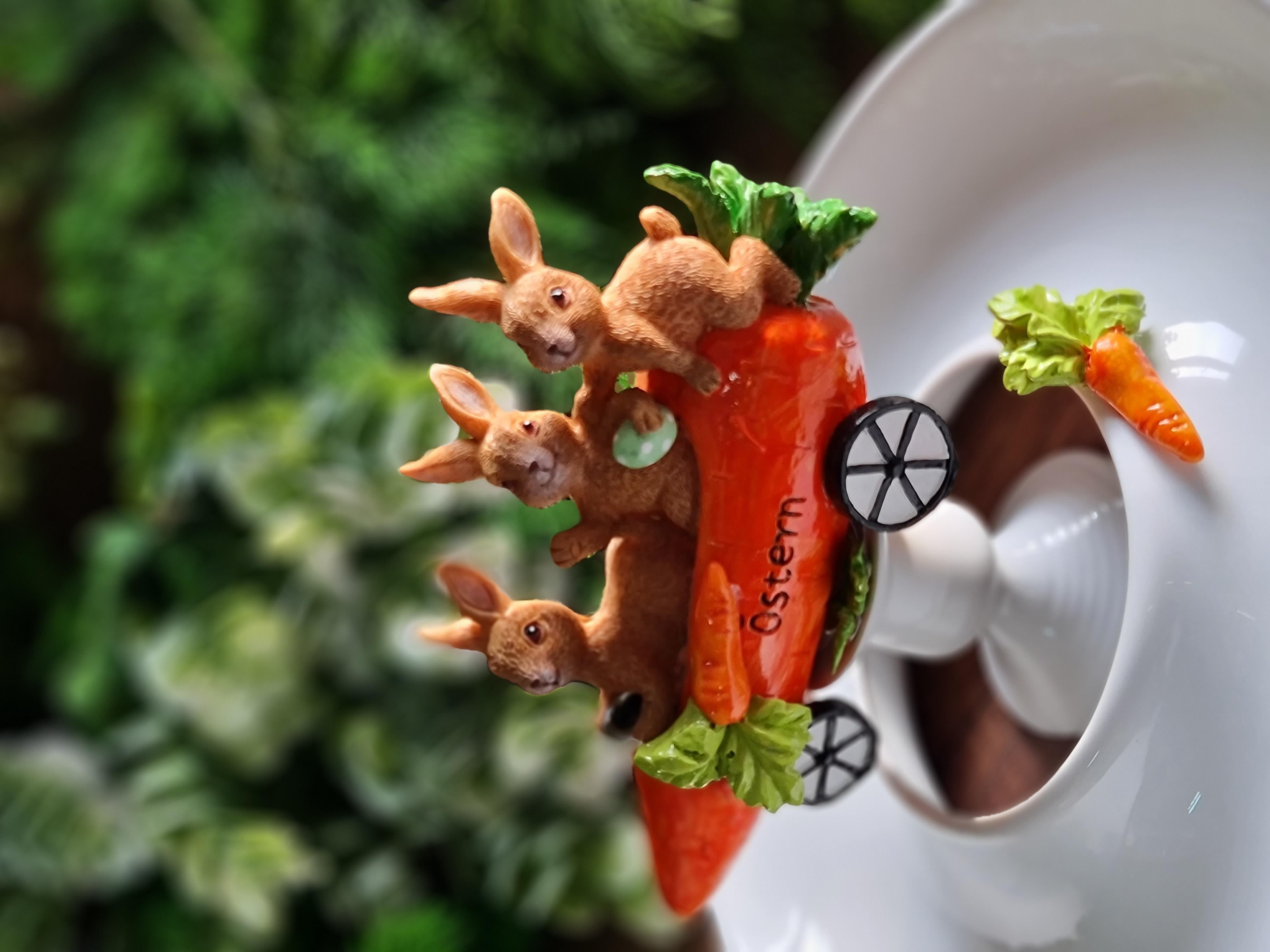 Carrot car decorlu tabak 