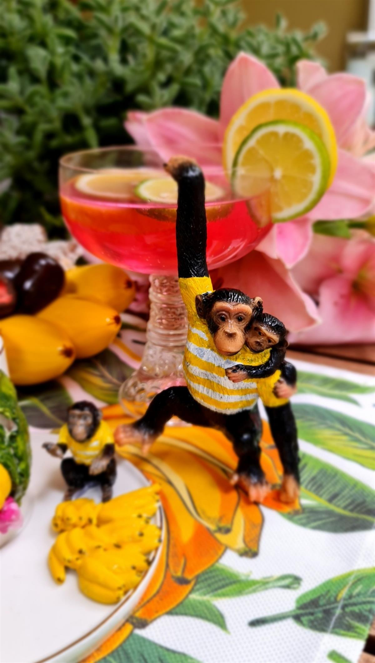 Hanging monkey