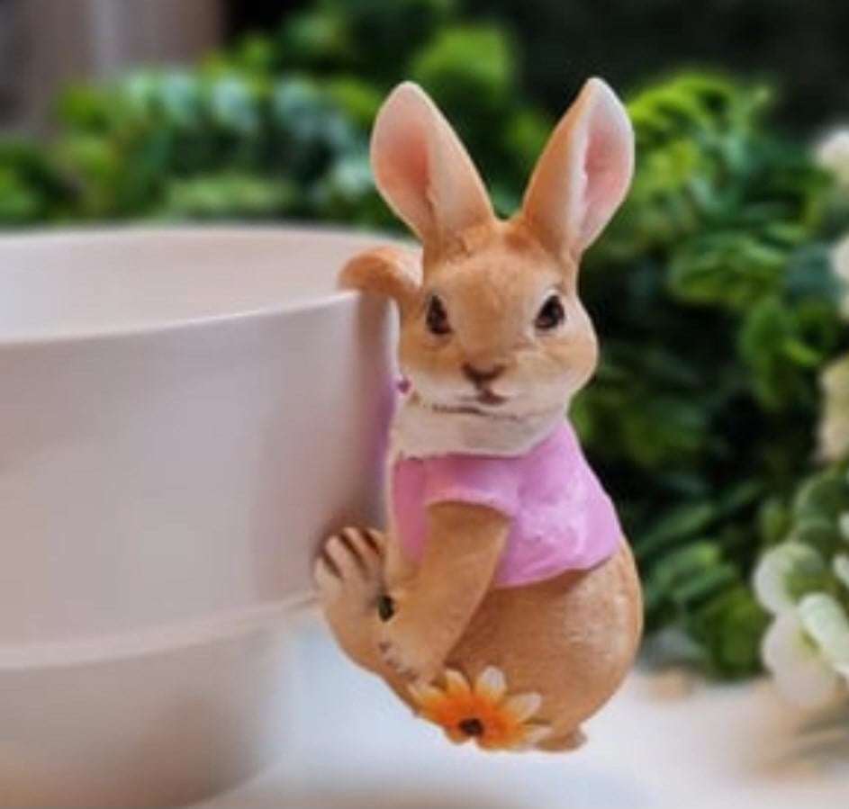 hanging rabbit pembe