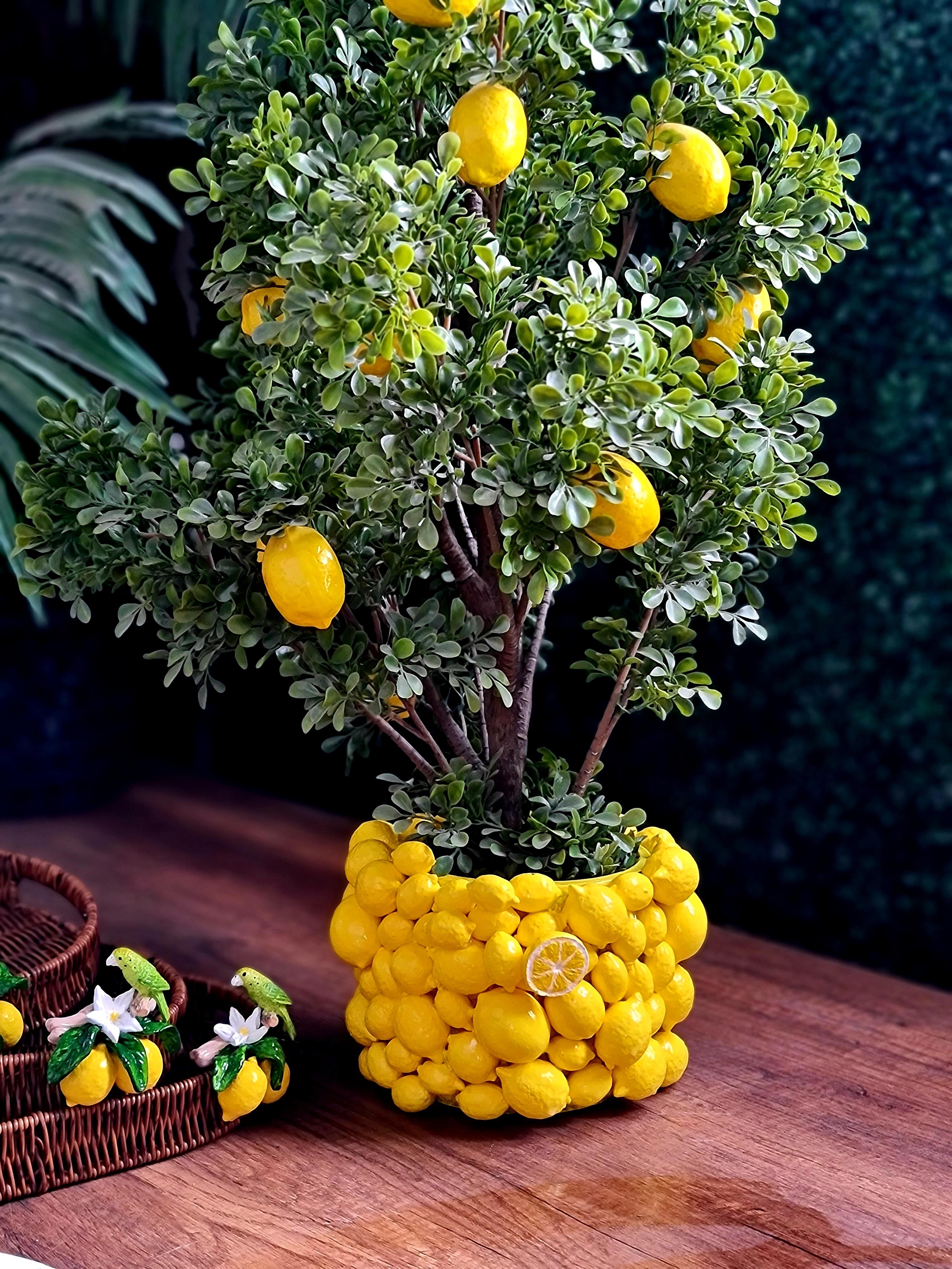 Limon saksı 25 cm(limon ağacı dahil değildir)