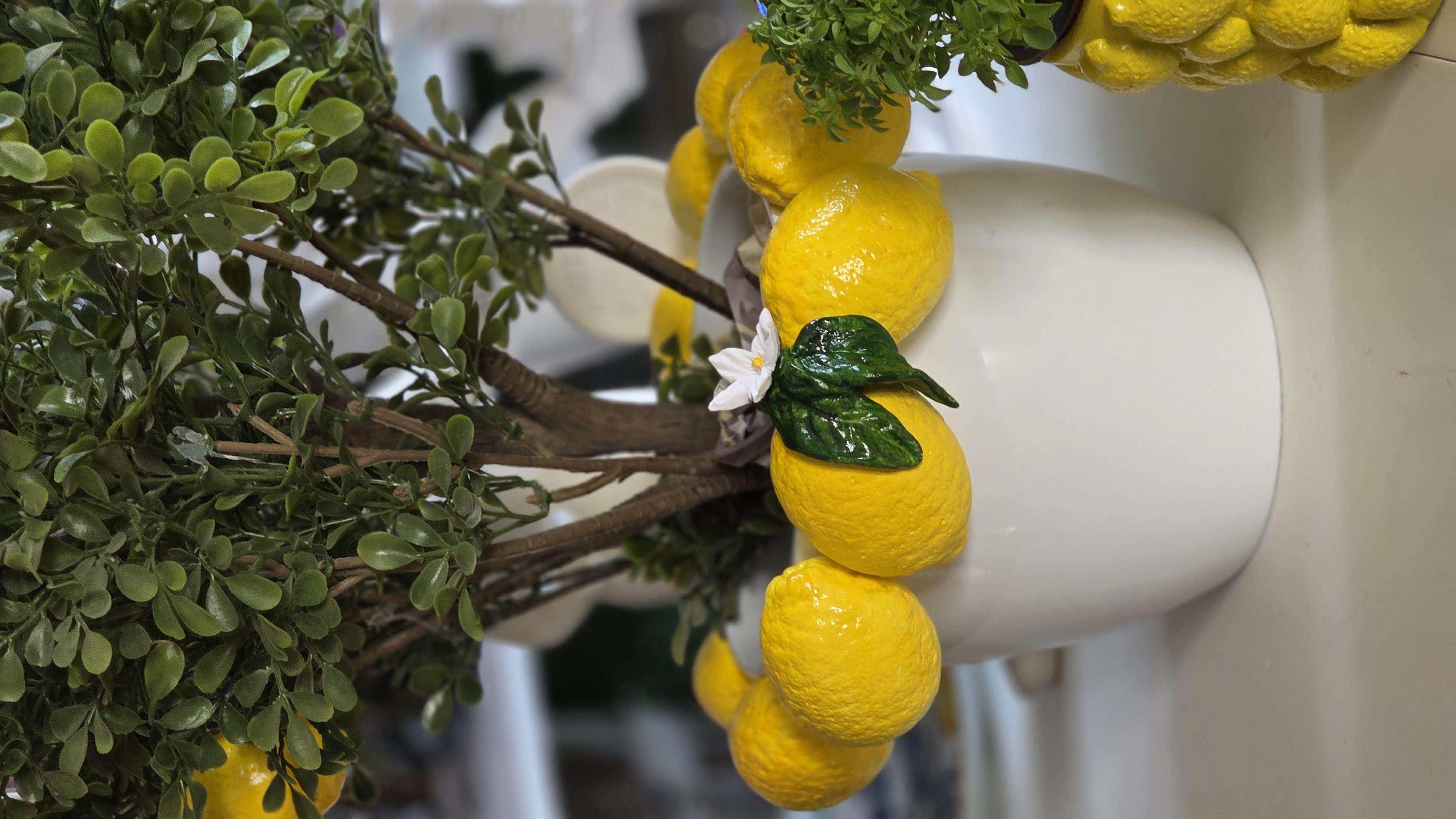 limon saksı 26*21 cm