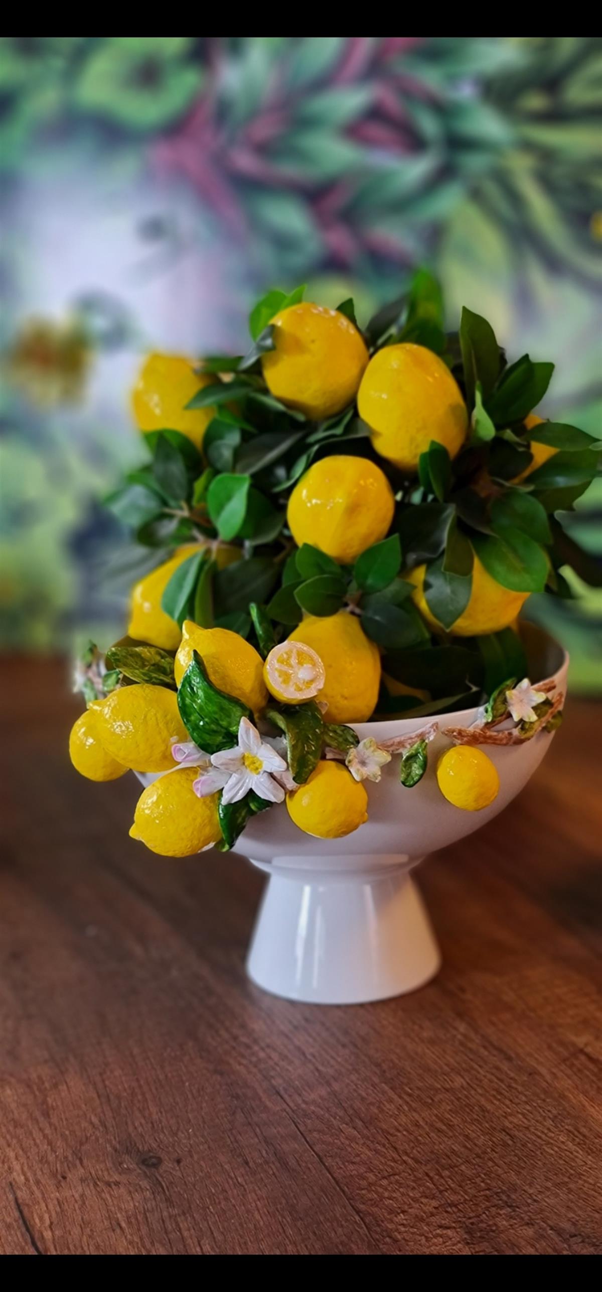 Limonlu ayaklı kase 22 cm