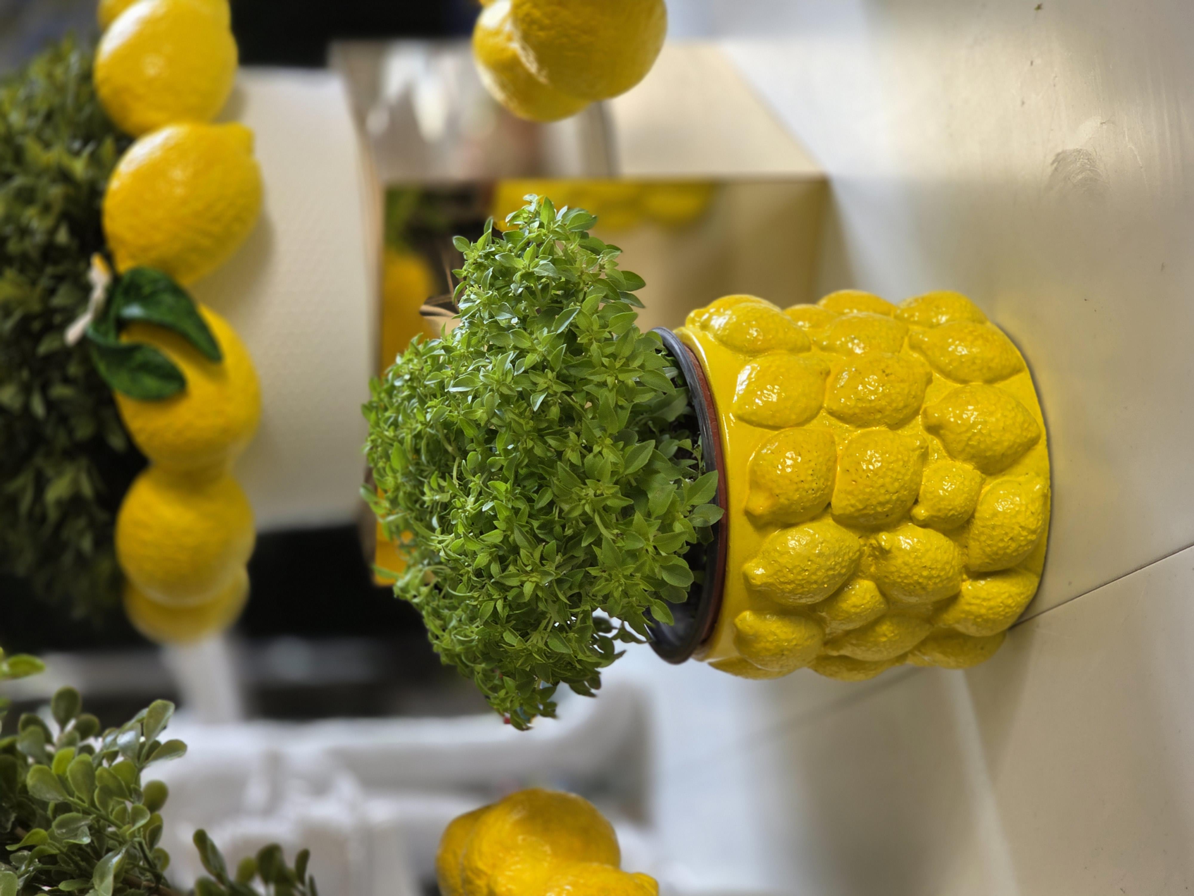 limonlu saksı 14*12 cm