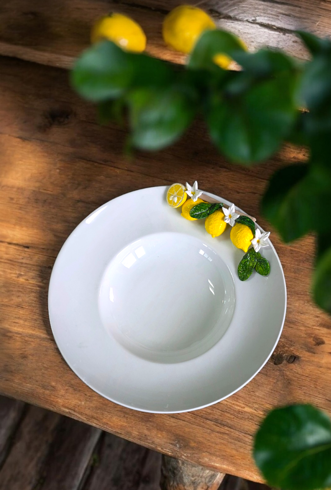 limonlu salata kasesi 36 cm