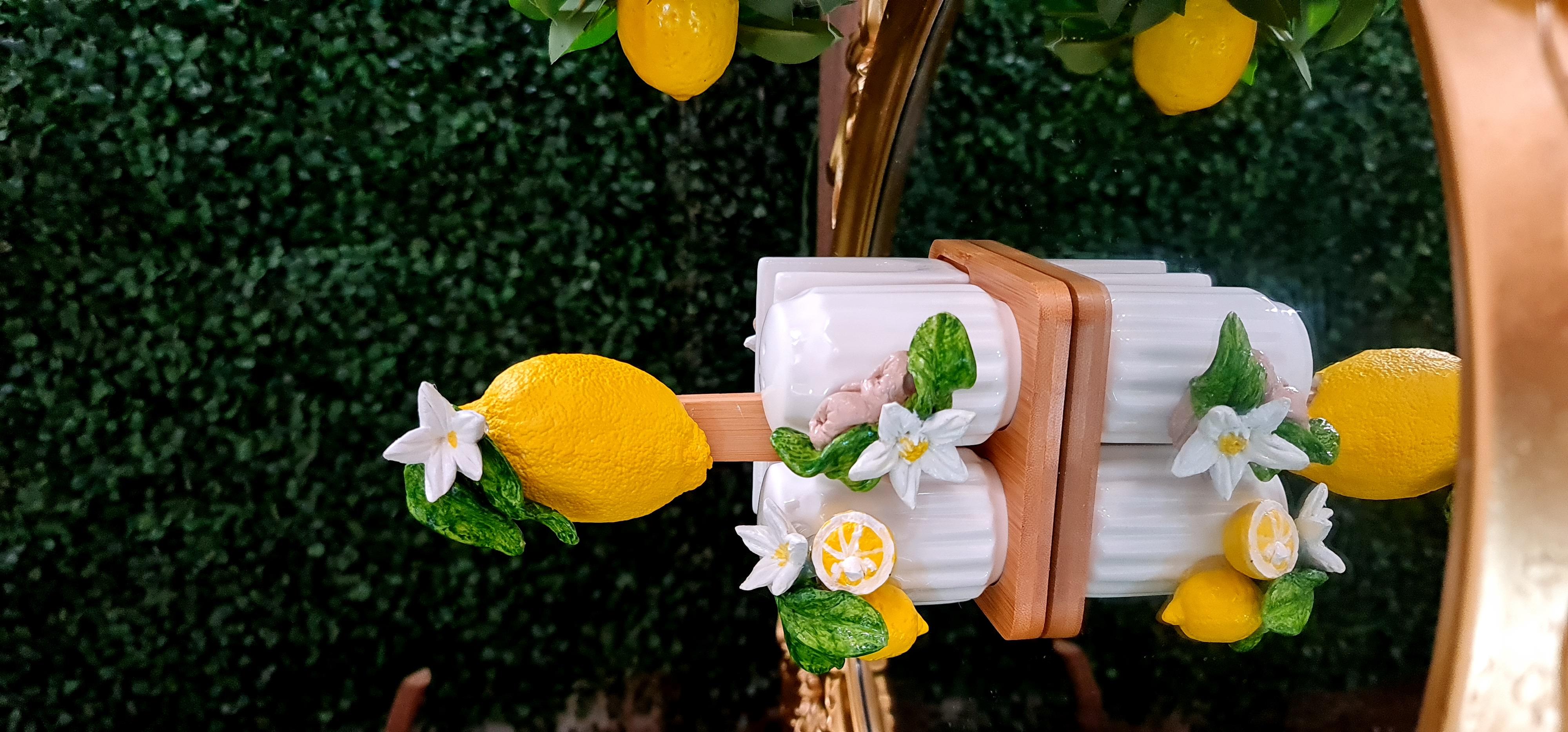 Limonlu tuzluk biberlik set