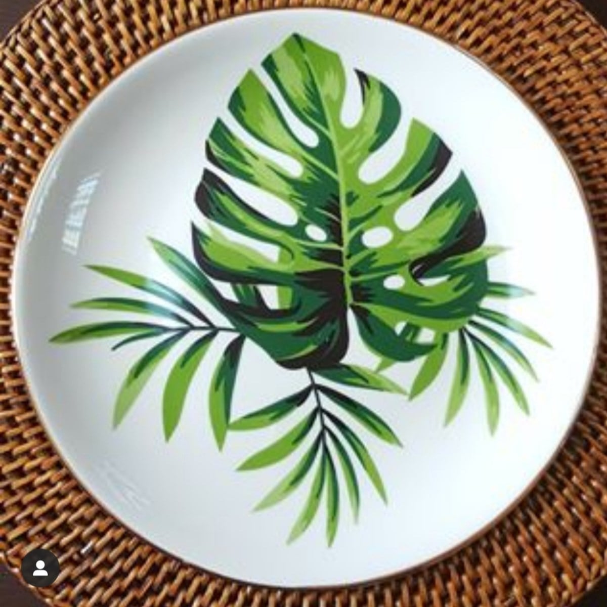 MONSTERA TABAK 23 CM