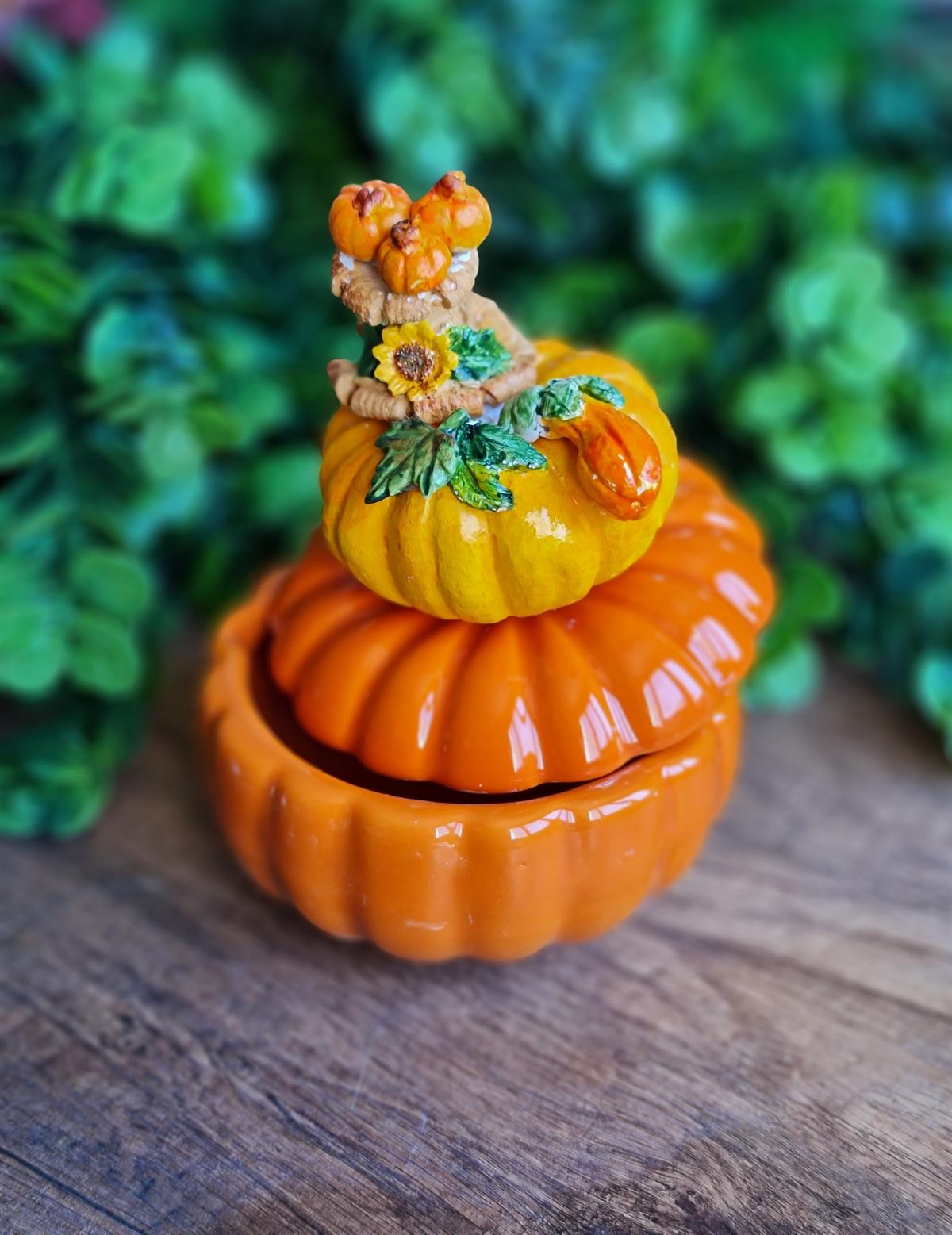 Pumpkin kapaklı kase