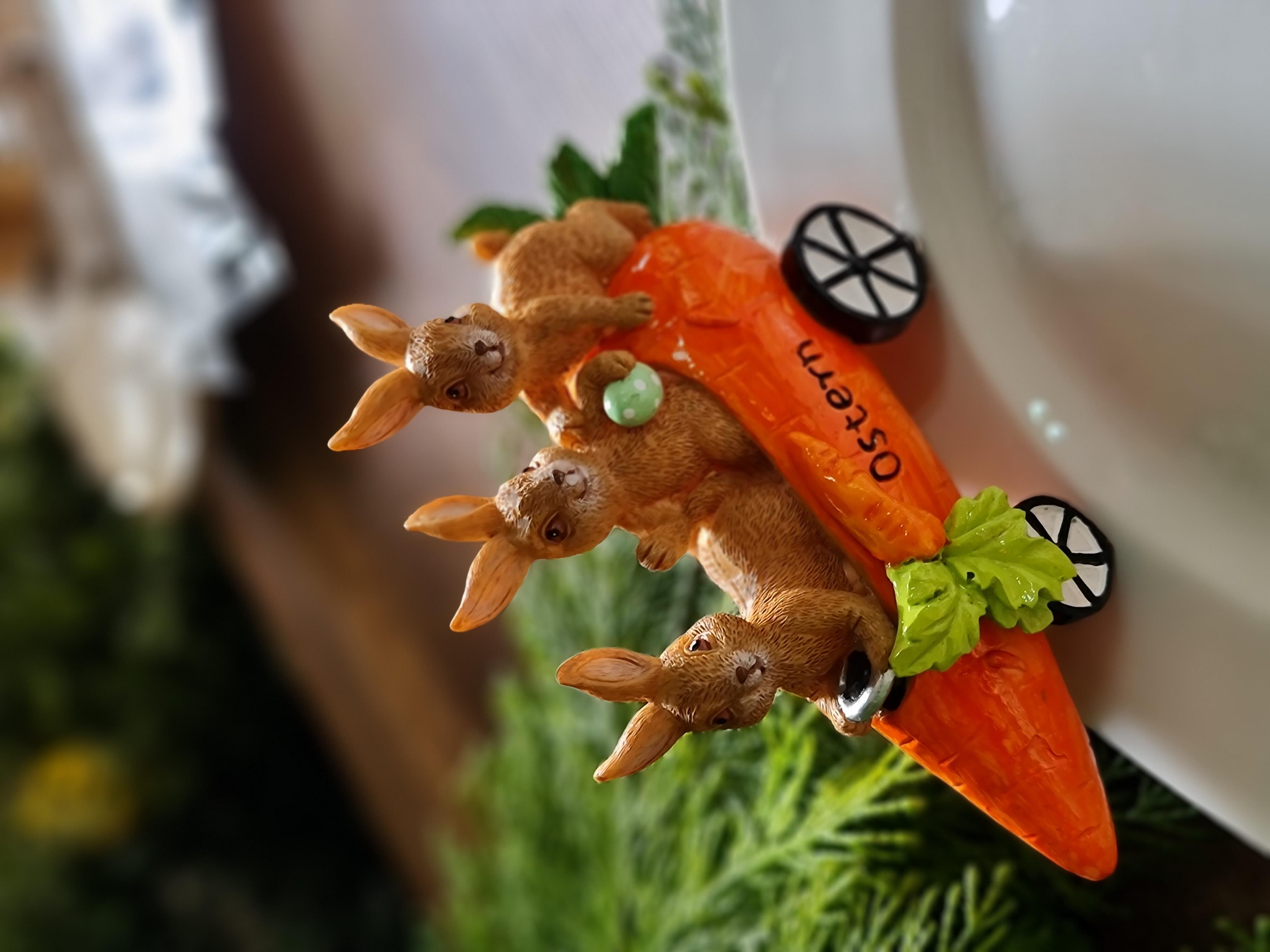 Rabbit car kayık 40 cm tabak