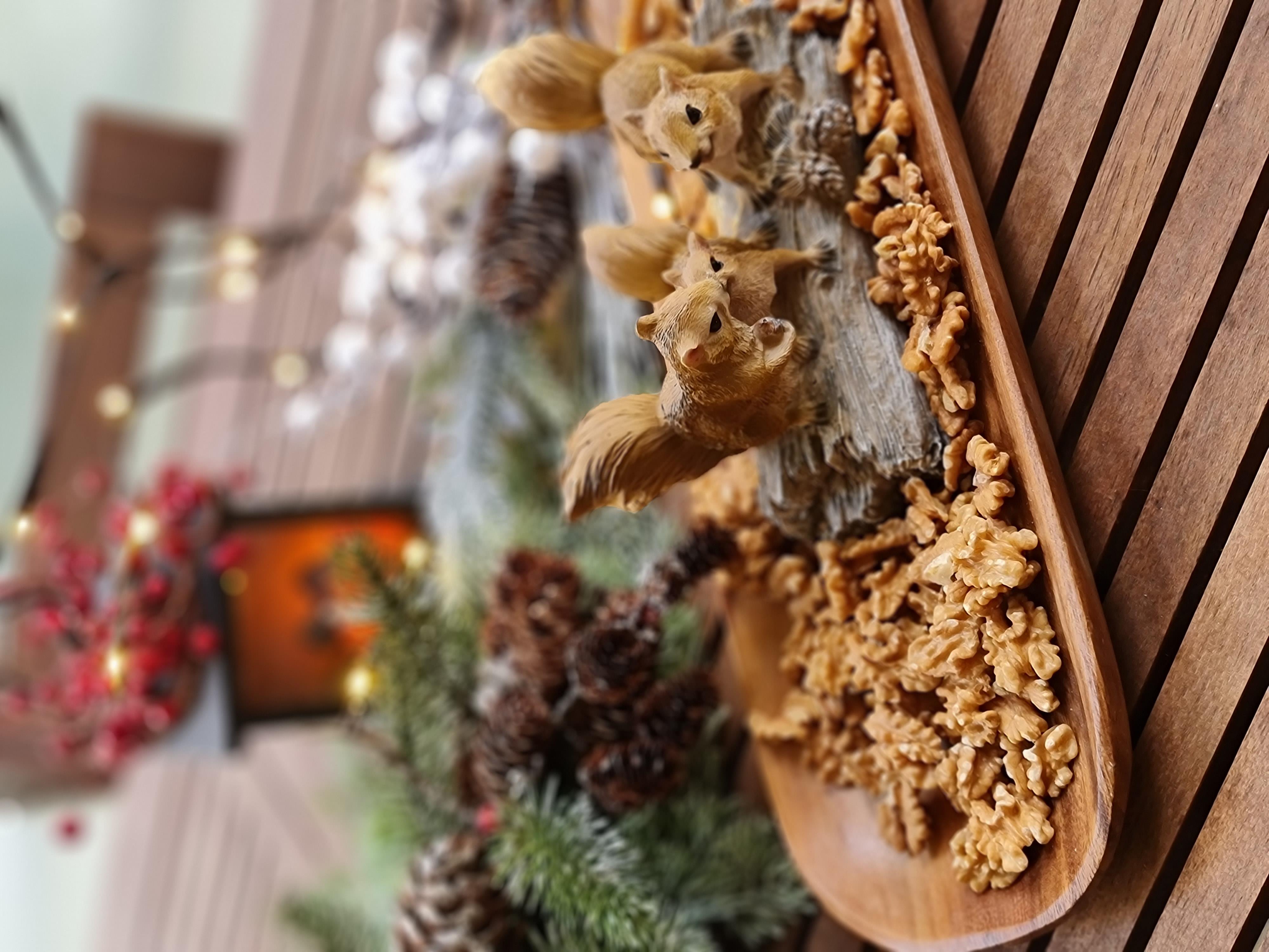 Sincap kuruyemişlik 47*17 cm