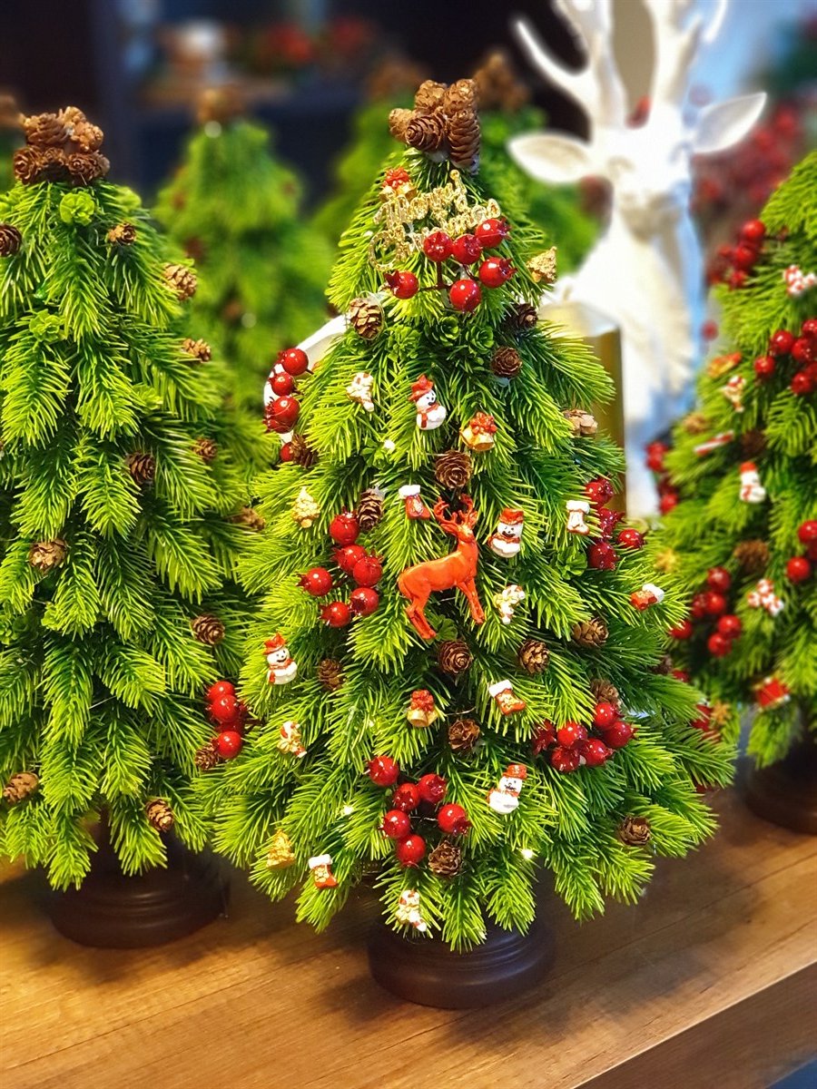 x'mas tree&toy's peri ledli 50 cm