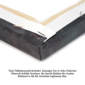 Çiçek Serisi Kanvas Tablo