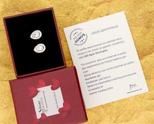 925 Ayar Gümüş Beyaz Damla Taşlı Anturaj Küpe