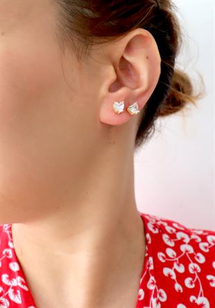 925 Ayar Gümüş Beyaz Kalp Taşlı Küpe