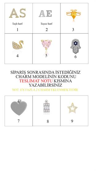 925 Ayar Gümüş Charm Kilitli Kolye ( KİŞİSELLEŞTİRİLEBİLİR)