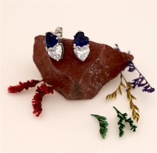 925 Ayar Gümüş Çift Kalpli Küpe