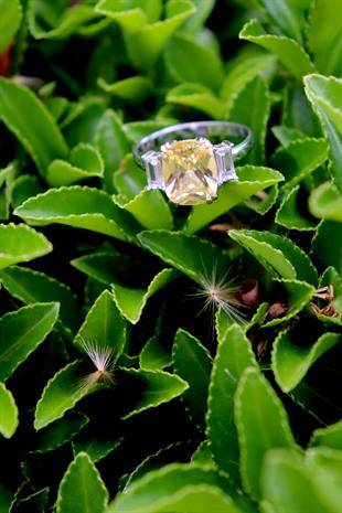 925 Ayar Gümüş Ilyra Sitrin Taşlı Yüzük