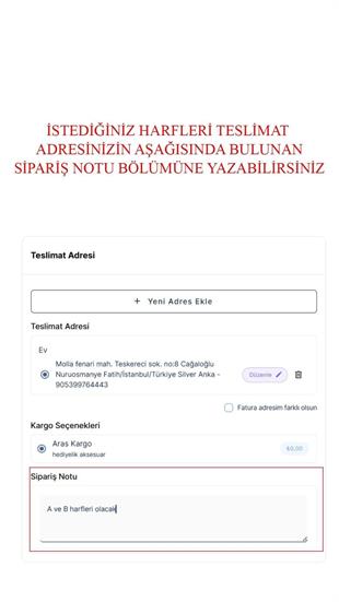 925 Ayar Gümüş İsim Köprücük Kolye