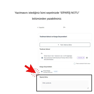 925 Ayar Gümüş Taşlı İmza Model İsim Kolye