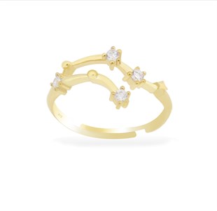 925 Ayar Gümüş Yüzük Zodyak Takım Yıldızlar İkizler Burcu Yüzük