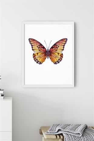 Kahverengi Kelebek Poster
