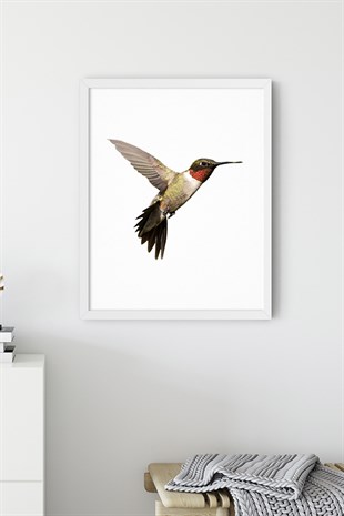 Kahverengi Kuş No:1 Poster