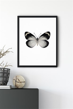 Siyah Beyaz Kelebek No:1 Poster