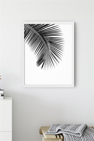 Siyah Beyaz Palmiye Poster