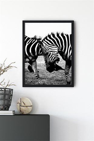 Zebra No:2 Poster