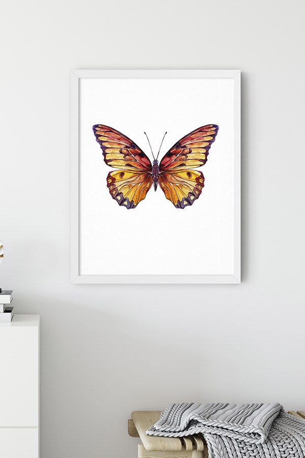 Brown Butterfly Poster
