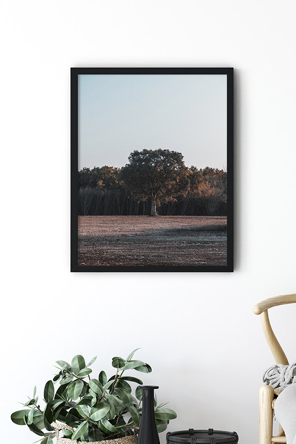Brown Forest Poster