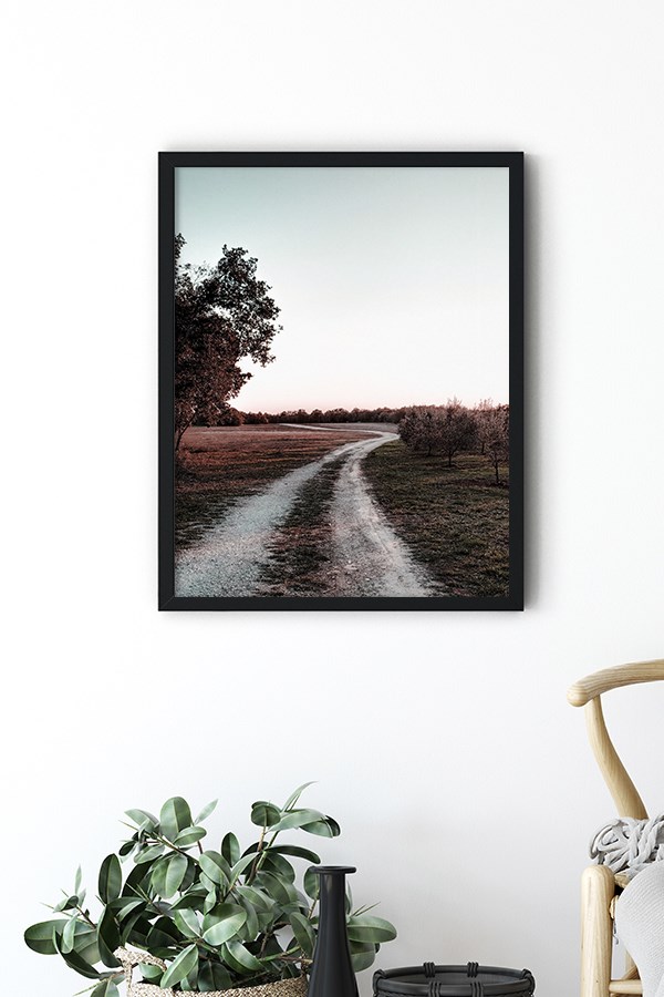 Brown Path Poster