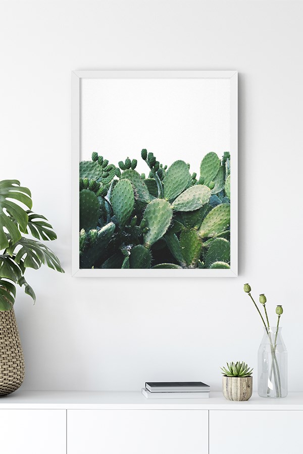 Cactus No:5 Poster