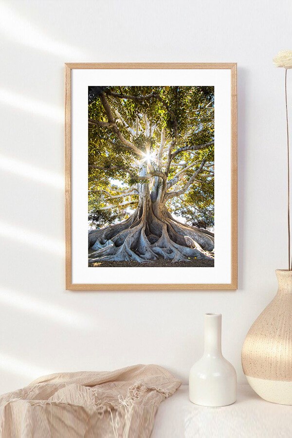 Root Tree Poster
