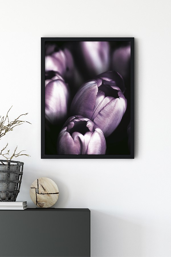 Purple Flower No:1 Poster