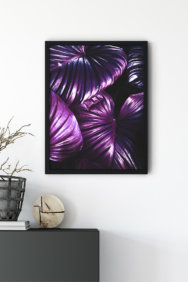 Purple Flower No:2 Poster